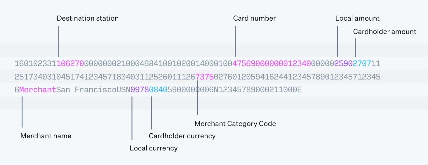 Visa authorization file data